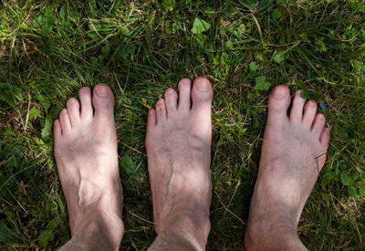 Low section of man feet on grass
