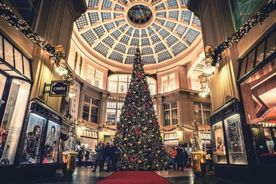 Illuminated christmas tree