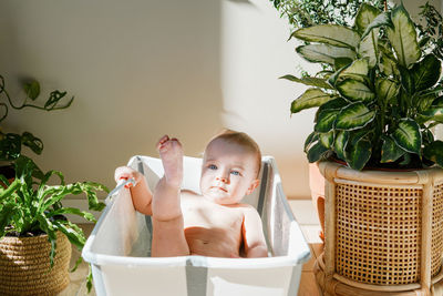 Portrait of cute baby boy with potted plant at home