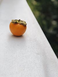 Close-up of persimmon on retaining wall outdoors