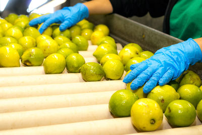 Close-up of fruits in container