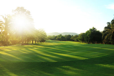 Sunlight falling on grassy field against sky