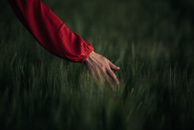 Cropped hand of woman with arms crossed