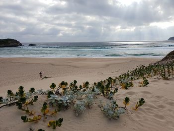 Scenic view of beach against sky