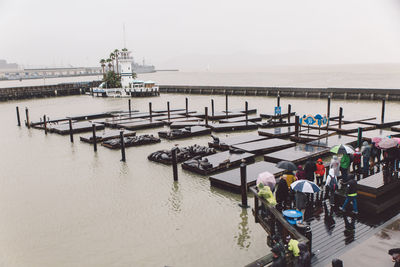 High angle view of people looking at seals while standing on pier over sea