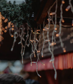 Close-up of illuminated string light