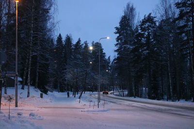 Trees by snow covered road against sky at night