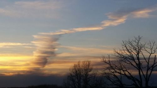 Low angle view of trees against sky