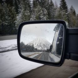 Reflection of trees on side-view mirror of car