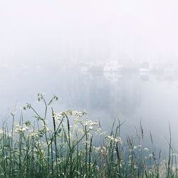 Lake in foggy weather
