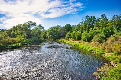 River flowing amidst trees in forest against sky