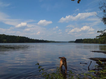 View of a lake