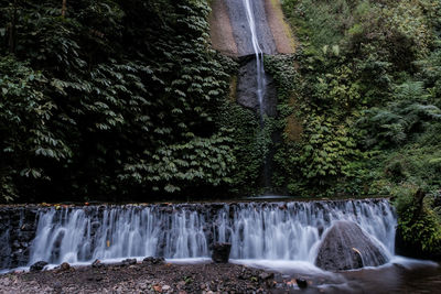 Scenic view of waterfall in forest