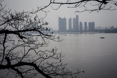 City skyline with river in background