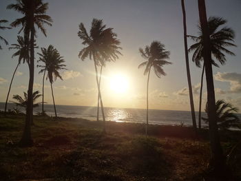 Scenic view of palm trees at beach during sunset