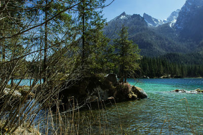 Scenic view of lake by trees against sky