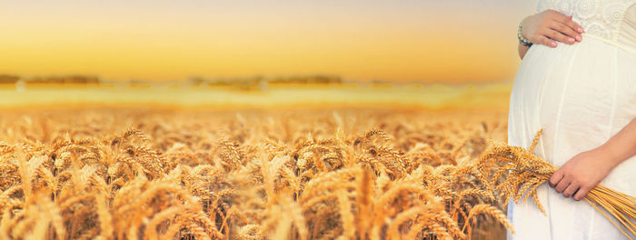 Midsection of woman standing amidst wheat field