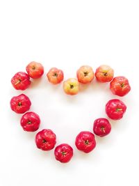 High angle view of tomatoes against white background