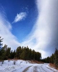 Road amidst trees against sky during winter