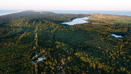 High angle view of trees in sea