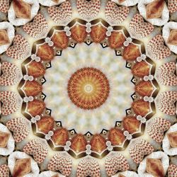 Full frame shot of patterned ceiling