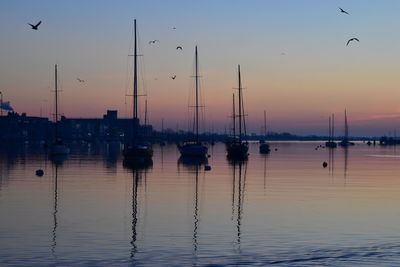 Sailboats in marina at sunset