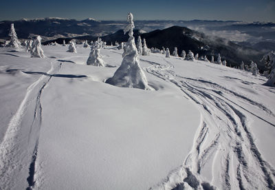 People skiing on snow covered landscape