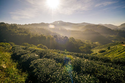 Scenic view of landscape against sky