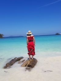 Rear view of man on beach against sky