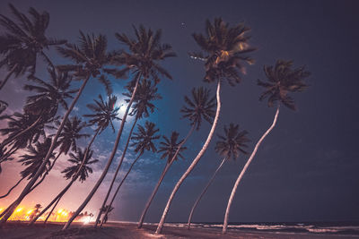 Palm trees by sea against sky at sunset