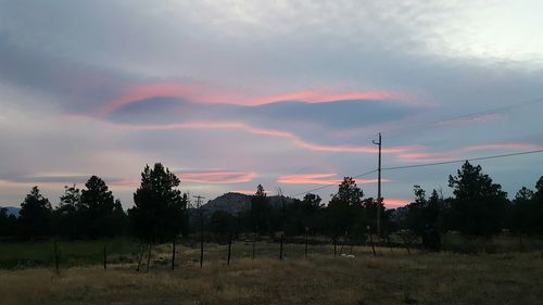 Trees on field against sky at sunset