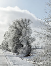 Bare tree on snow covered field against sky