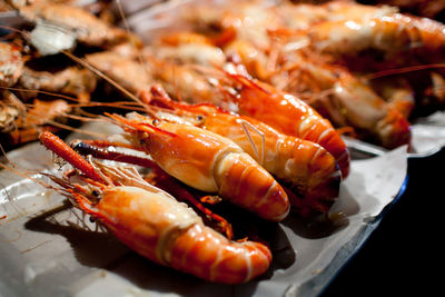 Close-up of prawns