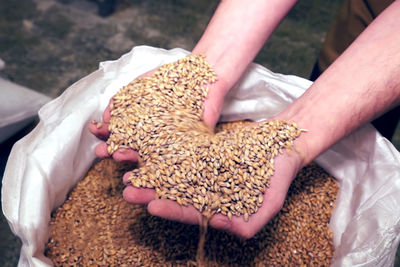 Close-up of hand holding food