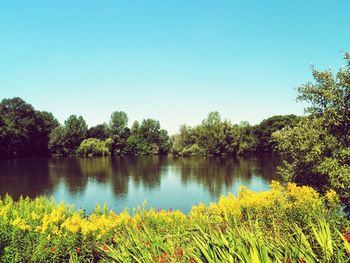 Scenic view of calm lake against clear sky