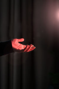 Close-up of hand holding red leaf