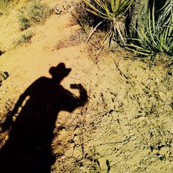 Shadow of person on wall