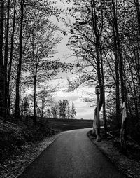 Empty road along trees in forest