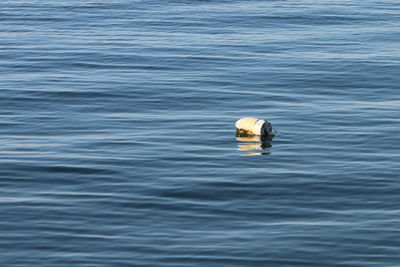 High angle view of swimming in sea