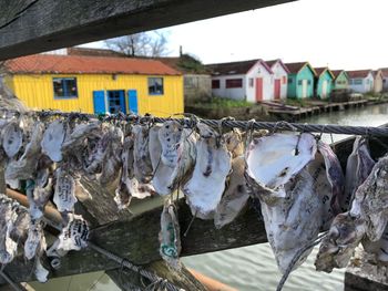 Close-up of fish drying outside building