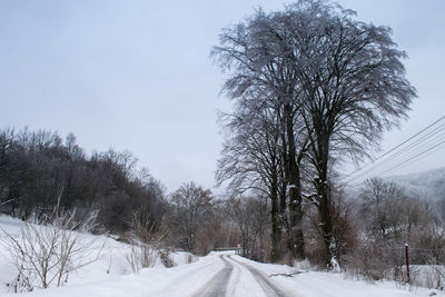 Trees in snow against sky during winter