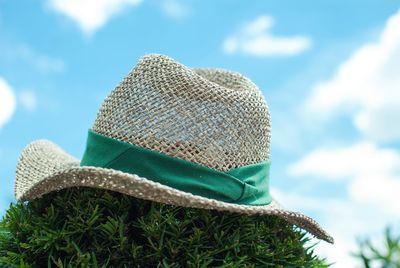 Hat on plant against sky