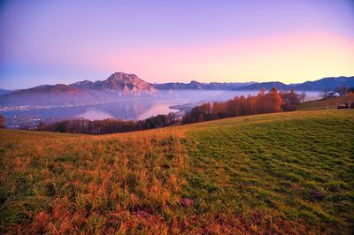 Scenic view of field against sky during sunset