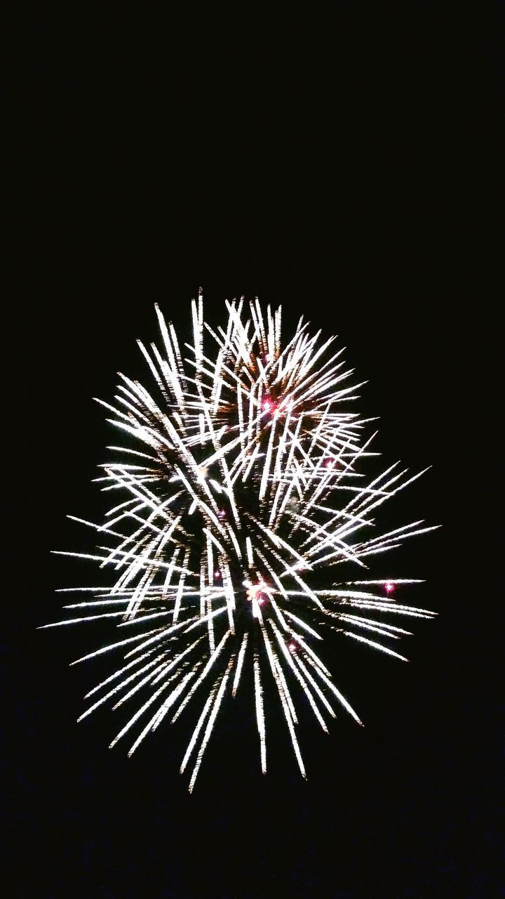 FIREWORKS IN SKY AT NIGHT