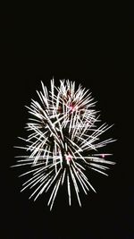 Low angle view of fireworks in sky at night