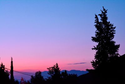 Low angle view of silhouette trees against sky at sunset