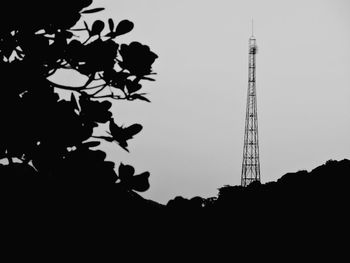 Low angle view of trees