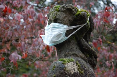 Close-up of statue by flowering plant