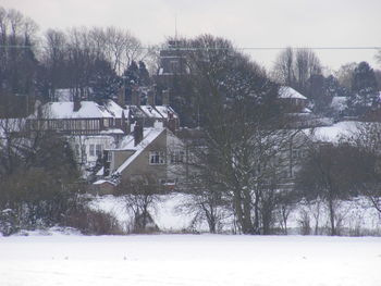 Trees on snow covered city against sky