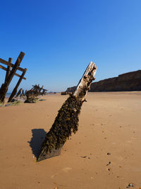 Driftwood on sand against clear sky